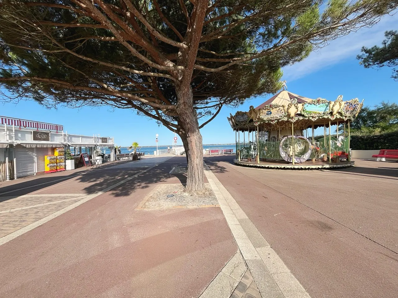 L’avenue du Moulleau sous les pins